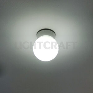 LED Ceiling Light LIV170016